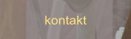 kontakt.